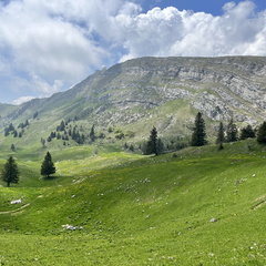 23-05-26 13-20-19 5696